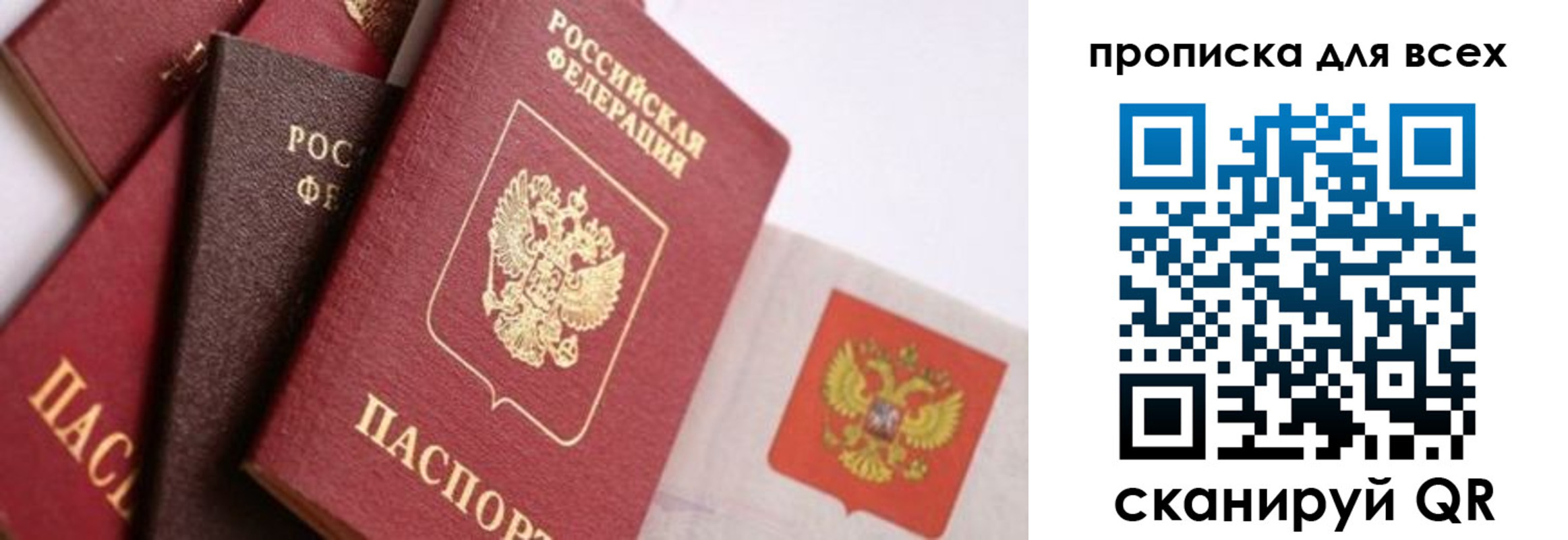 временная регистрация поиск в Заинске